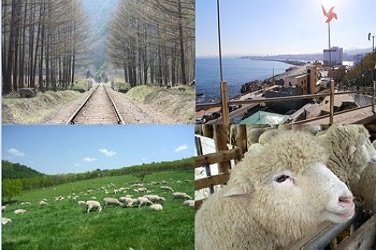 The Heirs- Shooting location   Sheep Farm   Rail Bike Tour