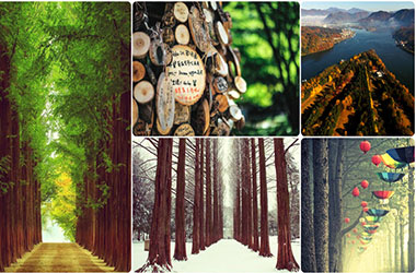 4D3N Seoul Tour Package