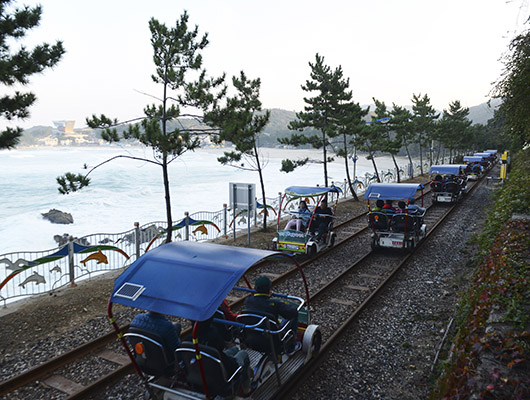 one-day-korea-the-heirs-filming-location-sheep-farm-ocean-rail-bike-1