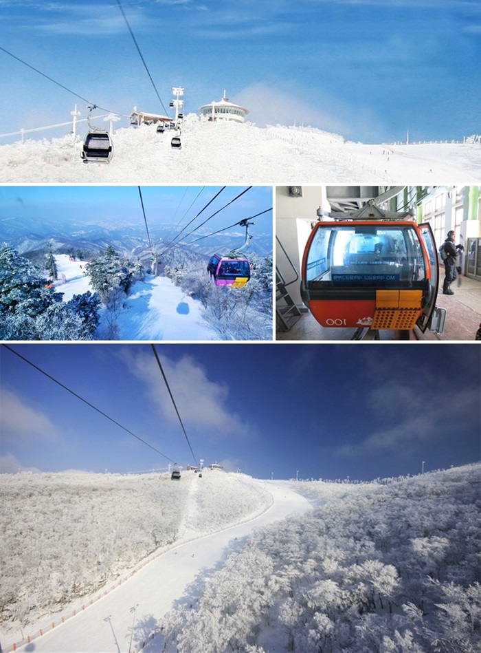 Korea snow tour