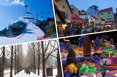 Nami Island Ski