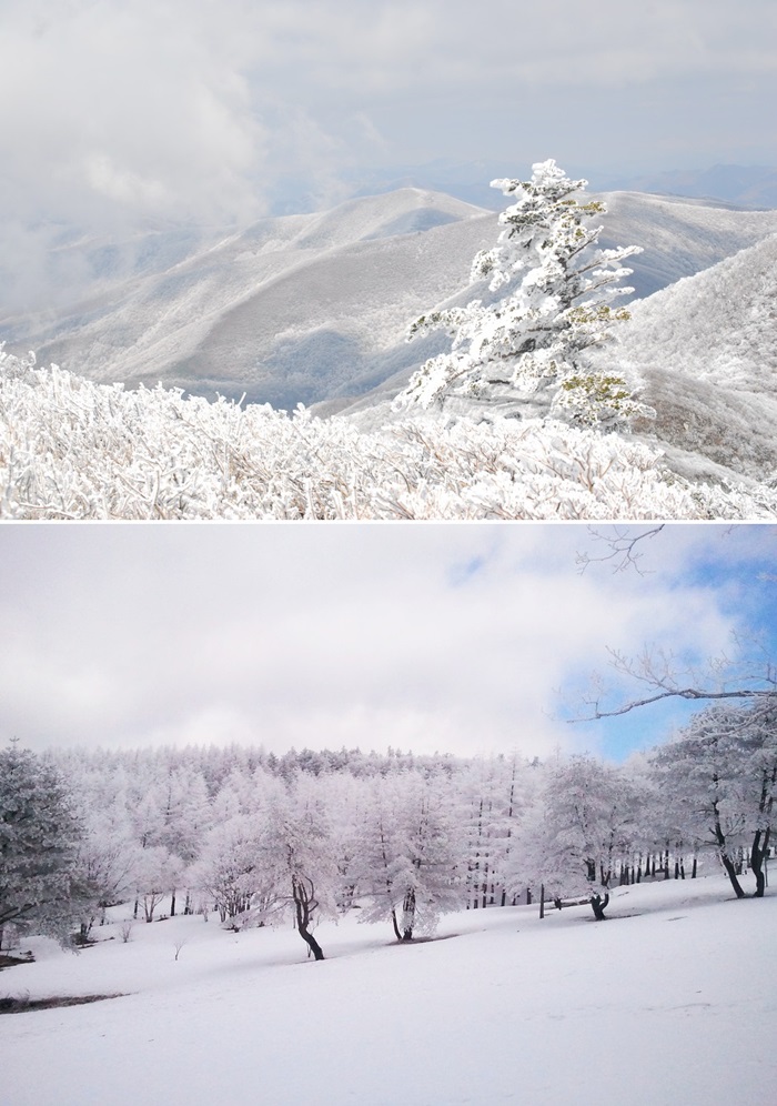 Korea snow tour