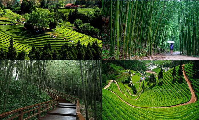 Korea South Coast