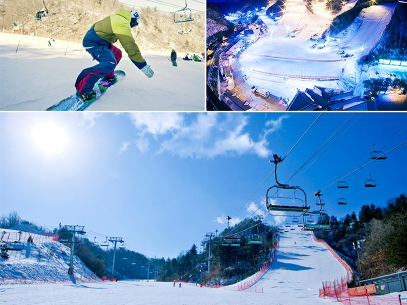professional ski lesson