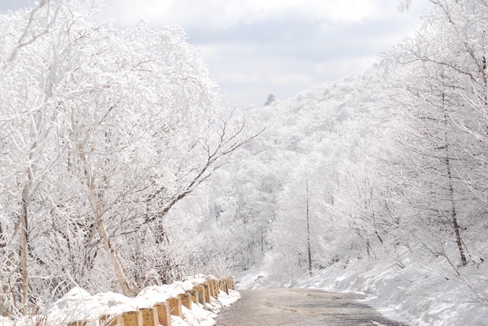 Korea snow tour