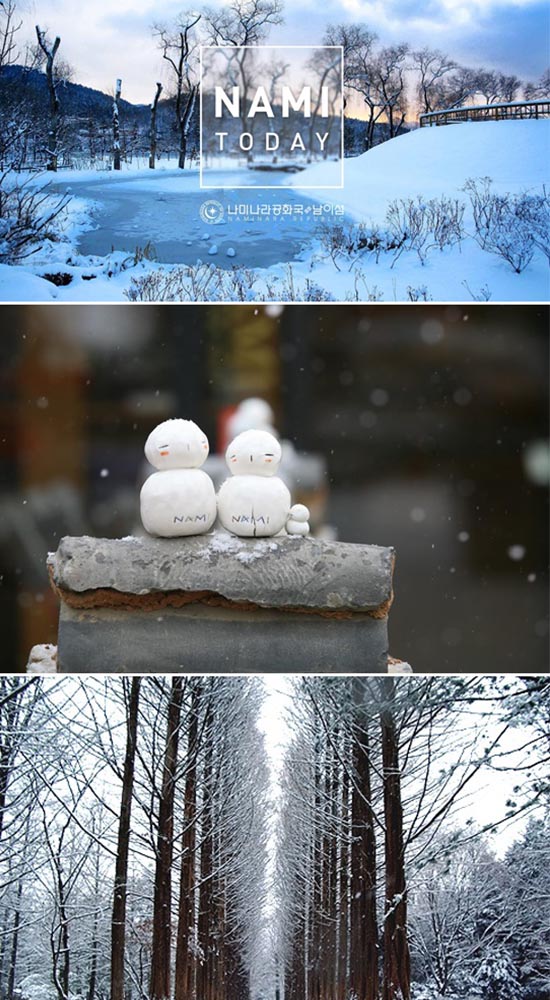 Nami Island Ski Tour: Nami Island Winter