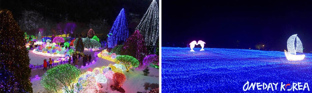 what to do in korea in december gapyeong garden of morning calm lighting festival