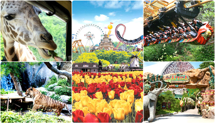 Private van to Everland